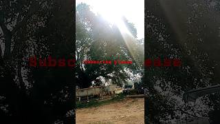 Gaon hai saheb yhan Mn lg jata hai explore youtube trending villagelife [upl. by Miner]