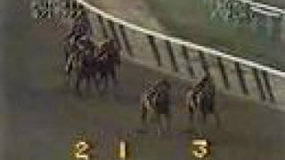 Affirmed vs Alydar  1977 Futurity Stakes 4th Meeting [upl. by Oirromed15]