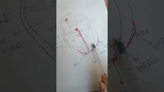 ECG PART 6 troubles de conduction [upl. by Bolanger916]