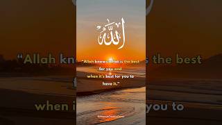 ALLAH Knows What Is Best For You 💘 79  Islamic Quotes  AhsanulsCreativeCorner  islamicquotes [upl. by Ecirahs]