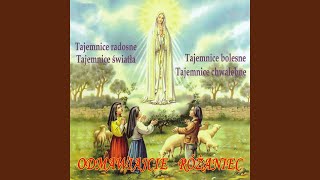 Tajemnice Światła Ustanowienie Eucharystii [upl. by Aya]