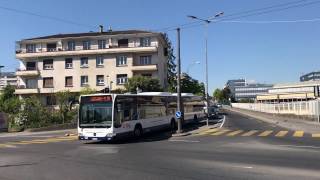 Sept autobus tpg sur le réseau tl Lausanne [upl. by Anawik]