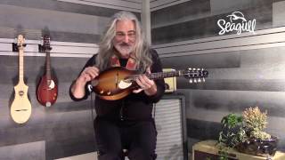 Jeff Smallwood playing the Seagull S8 EQ Mandolin [upl. by Hussar39]