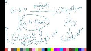 Glycogen Metabolism Glycogenolysis Regulation and GSD [upl. by Keely]