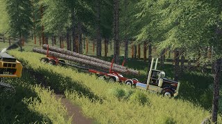 Live FS19 Logging Making Roads [upl. by Nawaj]