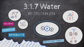 EASY REVISION AQA Alevel Biology 317 Water [upl. by Elana]