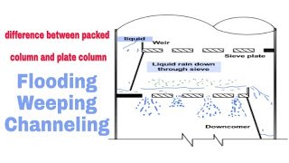 Hindi  HETP Packed and Tray Column Flooding Weeping Channeling [upl. by Yrdnal328]