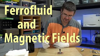 Activity 423B  Magnetic Fields with Ferrofluid [upl. by Kinimod93]