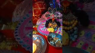 tulsivivah devuthniekadasi tulsipooja🌺🪔🙏💥 [upl. by Amalia]