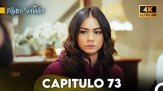 Pájaro Soñador Capítulo 73 Doblado En Español 4K [upl. by Farmann]