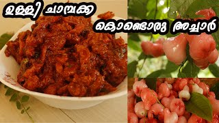 ചാമ്പക്ക അച്ചാർ  Rose Apple Pickle  FlavoursLand [upl. by Darlene]