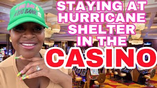 PEACH McINTYRE REGISTERS AS A HURRICANE SHELTER GUEST AT SEMINOLE HARD ROCK CASINO IN TAMPA FL [upl. by Mahoney]