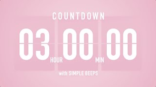 3 Hours Countdown Flip Clock Timer  Simple Beeps 🌸🔔 [upl. by Ztnahc477]