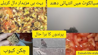 Karely DaalDaal Karely Full RecipeToo Much Fog In SialkotDaily Routine VlogZainab Life Style [upl. by Alyehs]