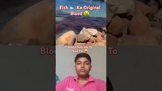 Fish 🐟 Ka Original Blood 😨 🔥 shorts facts viralvideo trending youtubeshorts FactsMine [upl. by Imerej]