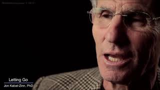 Mindfulness 9 attitudes  Jon Kabatt Zinn [upl. by Labinnah]