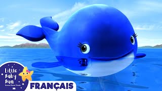 La Petite Baleine Bleue  Comptines et Chansons pour Bébés  Little Baby Bum en Français [upl. by Anirrok696]