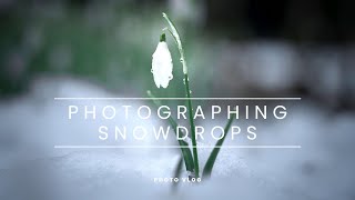 Photographing snowdrops in the Scottish Highlands [upl. by Petta]