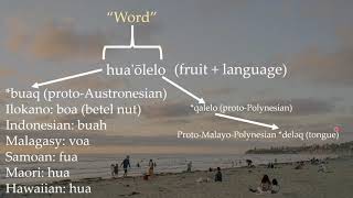 Comparisons between Hawaiian and other Austronesian languages PART 1 [upl. by Gomar]