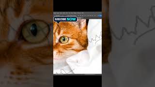 How to hide the signature using tricks in Photoshop part 2Photoshop hack Photoshop shorts reels [upl. by Ayvid418]