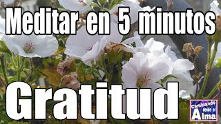 Meditar en 5 minutos Gratitud [upl. by Idolah564]