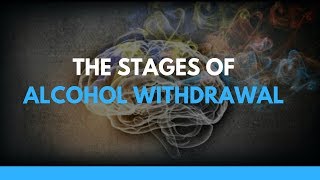 The Stages of Alcohol Withdrawal [upl. by Maryanne]