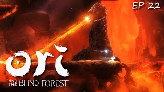 Clearing the Misty Woods  Ori and the Blind Forest Definitive Edition Ep 13 [upl. by Ardeed]