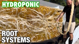 Exploring the Wicking Hydroponic Systems Bagged Media [upl. by Atikihs]