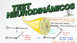 Test Neurodinámicos neurodinamia explicada [upl. by Erinna]