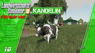 🚜 LS 19 ▶10 🚜 6 Höfe und der Lohner  Kandelin  deutsch  PC [upl. by Chak648]