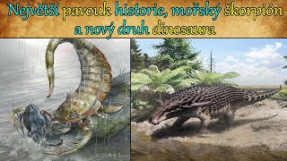 Největší pavouk historie mořský škorpión a nový druh dinosaura [upl. by Letnwahs289]