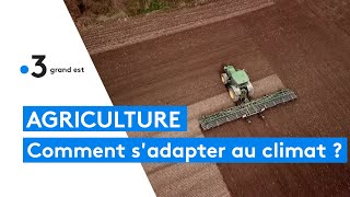 Changement climatique les agriculteurs sadaptent [upl. by Irehc872]