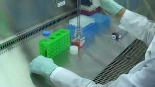 CDI Training Video Handling iCell® Cardiomyocytes [upl. by Roxanna129]