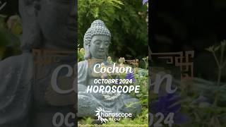 Votre Horoscope Chinois mensuel doctobre 2024 du cochon [upl. by Neerahs]