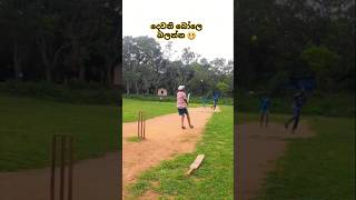 කැපිලිකාරය 😜  Bowling by Sisira 🥎  Village Cricket softball cricket shorts [upl. by Mildrid683]