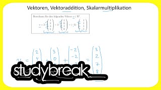 Vektoren Vektoraddition Skalarmultiplikation  Wirtschaftsmathematik [upl. by Arit]