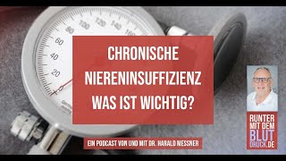 Chronische Niereninsuffizienz was ist wichtig [upl. by Amapuna]