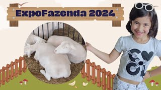 Parque de diversões e Mini Fazendinha  EXPOFAZENDA 2024 [upl. by Pihc748]