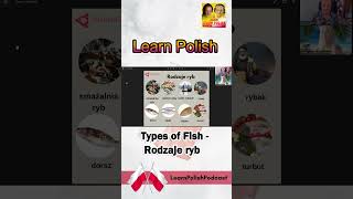 Types of Fish Part I [upl. by Eilrahc524]