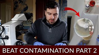 Beat Contamination in Liquid Cultures Part 2 [upl. by Rofotsirk710]