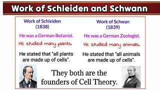 Work of Schleiden and Schwan in History of Cell [upl. by Becht]