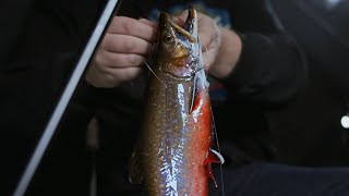 Fishing a Giant Hole Through the Ice [upl. by Chang]