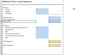 ACC202 Project Income Statement [upl. by Barry478]