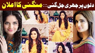 Armeena Khan announces her engagement on Instagram [upl. by Ybloc885]