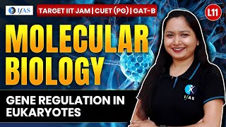 Gene Regulation in Eukaryotes IIT JAM Biotechnology  GAT B  CUET PG 2025  Molecular Biology  L11 [upl. by Kaliope]