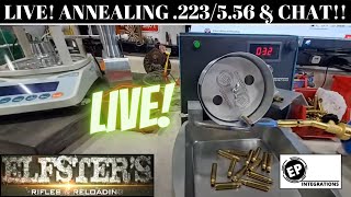 Annealing 223  556 amp Lets Chat About Reloading [upl. by Metsky253]