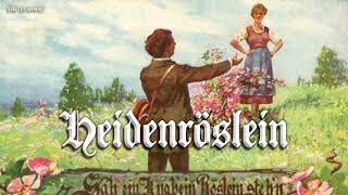 Heidenröslein German folk songEnglish translation [upl. by Plantagenet609]