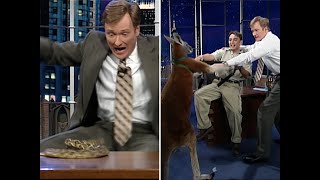 Animal Expert Jarod Miller The Kangaroo Incident  Late Night with Conan O’Brien [upl. by Middleton]