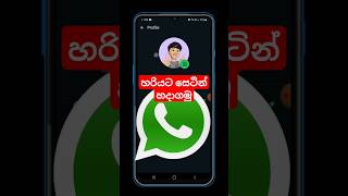 How to manage Whatsapp profile picture sinhala androidsinhala whatsappsinhala whatsapp shorts [upl. by Akeber275]