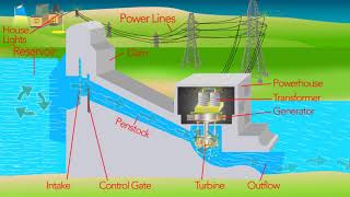 How a Hydro Electric Dam Works [upl. by Fletcher2]